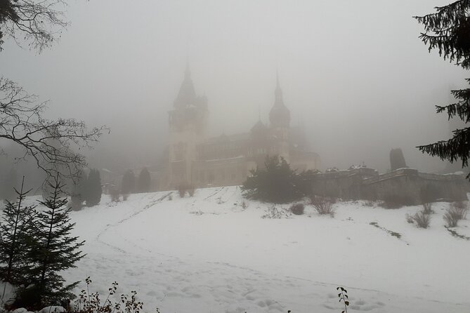 Peles Castle and optional Cantacuzino Castle from Brasov - Price and value: what $81.80 covers, and what it does not