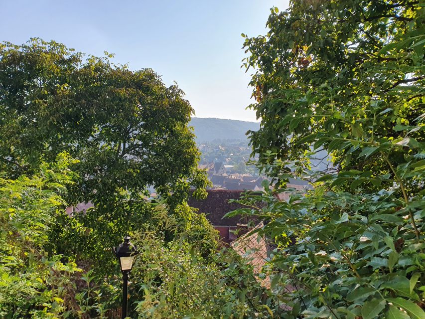 Peleș Castle, Bran Castles and Brasov City - Private Tour - Who this tour fits best (and who should rethink it)