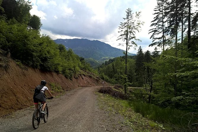 Perfect bike tour around Brasov - Who this tour fits best in Brasov, and who might want another plan
