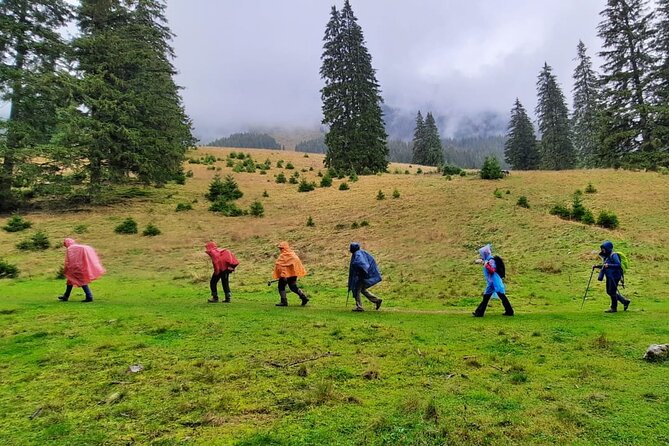 Pestera and Magura Full-Day Private Walking Tour from Brasov - Key things to know before you go