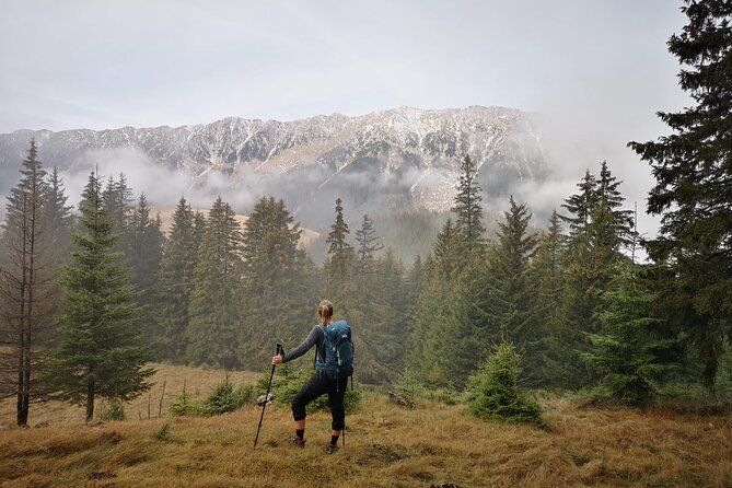 Pestera and Magura Full-Day Private Walking Tour from Brasov - Magura Village: Piatra Craiului viewpoints plus local history in motion