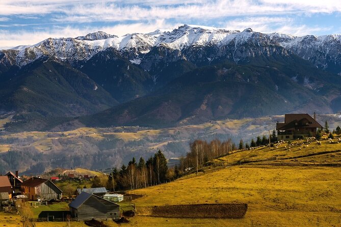 Pestera and Magura Full-Day Private Walking Tour from Brasov - How hard is it really: distance, elevation, and your day plan