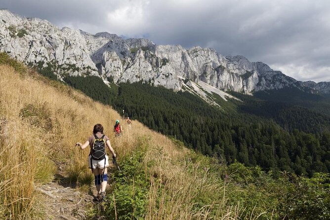 Piatra Craiului National Park Private Hiking Tour from Brasov - Entering Piatra Craiului National Park from Brasov, minus the stress