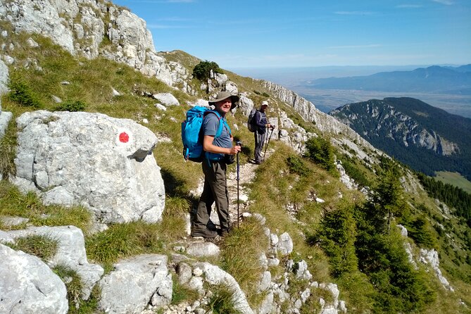 Piatra Craiului National Park Private Hiking Tour from Brasov - Lunch in the mountains, and what you should pack for food