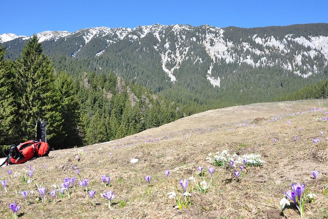 Piatra Craiului National Park Private Hiking Tour from Brasov - Gear and fitness: what you need to make the hike enjoyable