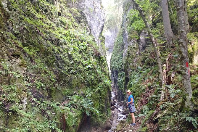 Piatra Craiului National Park Private Hiking Tour from Brasov - Price and value: why $126.98 can make sense