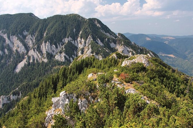 Piatra Craiului National Park Private Hiking Tour from Brasov - Choosing between two routes, and what the harder one really feels like