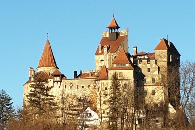 Premium Private 3-Day Best of Transylvania Tour Bucharest Hotel Pick Up/Drop Off - Day 3: Bear Sanctuary in Zarnesti and Snagov Monastery’s Vlad connection
