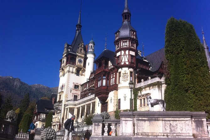 Private 4-Day Tour in Transylvania including Transfagarasan Road from Bucharest - Day 4: Bear Sanctuary Zarnesti and Snagov Monastery, Then Back to Bucharest