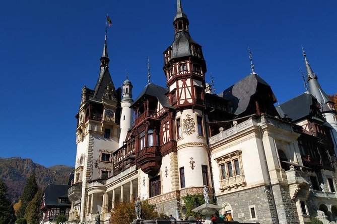Private 5-Day Tour in Transylvania from Bucharest Hotel Pick-up and Drop off - Day 2: Bear Sanctuary Zărnești, Viscri’s UNESCO church, and Sighisoara’s medieval core