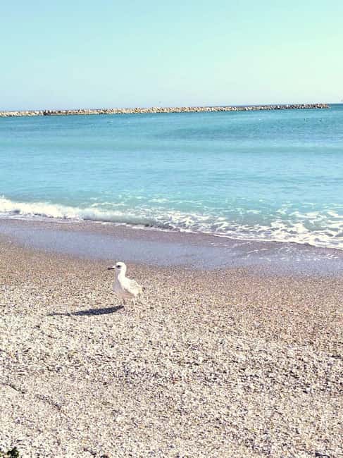 Private Bucharest Tour: Discover Constanța & Black Sea Coast - How the pacing fits an 8-hour private tour