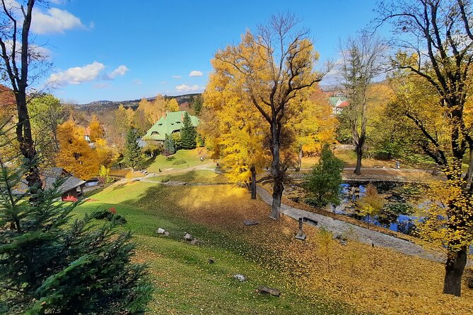 Private Day Tour in Transylvania, Peles and Bran Castles from Brasov - Price and value: what you pay, what you still need