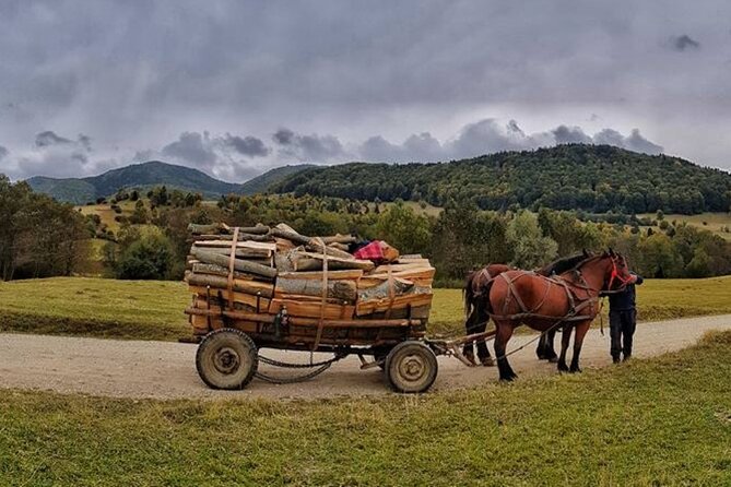 Private Day Tour to Historical Villages in Sinaia - Izvorul Alb and the 185-year-old family farm moment