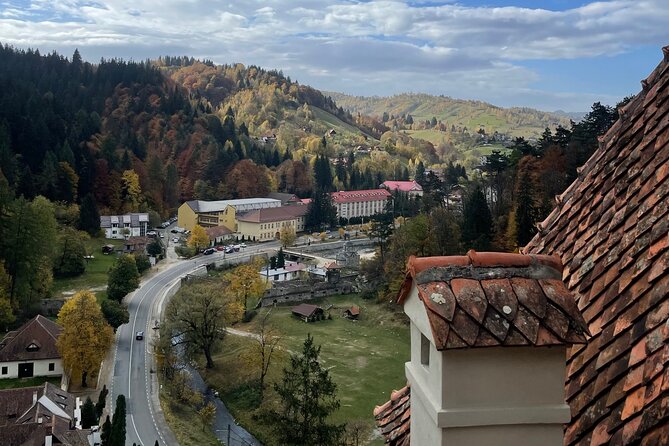 PRIVATE day-trip - Peles Castle, Bran Castle, Brasov - Who This Private Trip Fits Best
