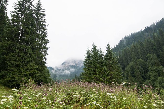 Private Daytrip Hike to Bucegi Mountains - Bucharest to the Bucegi Mountains in one day