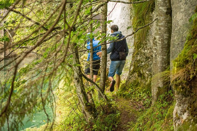 Private Daytrip Hike to Bucegi Mountains - Zănoaga Dreamland hike: forest trails, gorge walls, and big stops