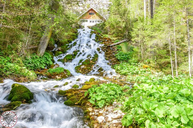 Private Daytrip Hike to Bucegi Mountains - Seven Springs waterfall: the water stop that changes the whole mood