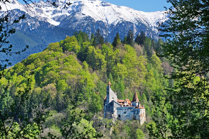 Private Movie Castles at Peles, Cantacuzino and Bran Castle Tour - Three Castles, One Private Route From Bucharest