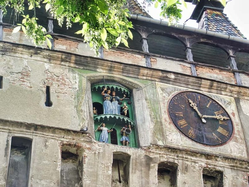 Private Sighisoara and wine tasting tour from Cluj - How the guide style shapes the day (and why it matters)