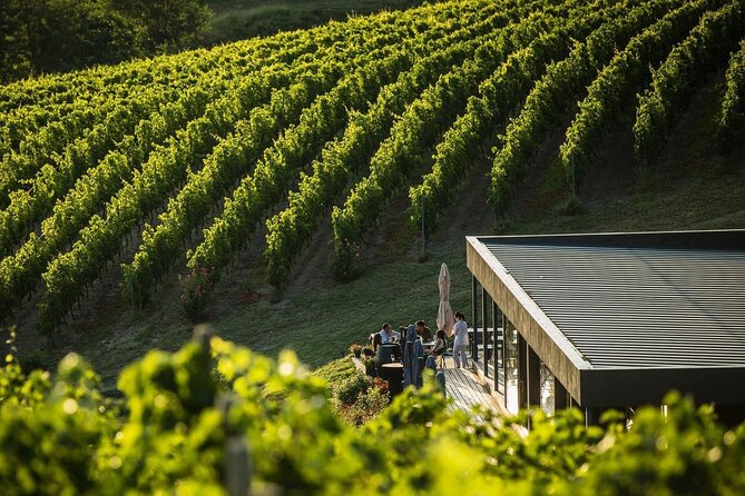 Private Tasting Expedition Along Romania’s Most Famous Wine Route - Private Tasting Day: What “Only Your Group” Changes