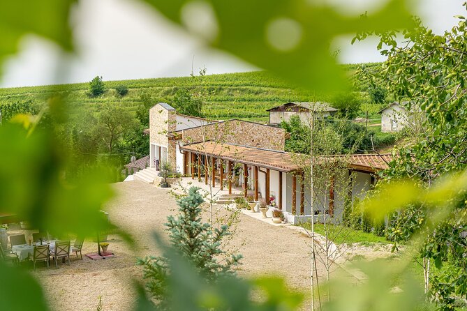 Private Tasting Expedition Along Romania’s Most Famous Wine Route - Price and Value: Is $325.80 Fair for an 8-Hour Day?