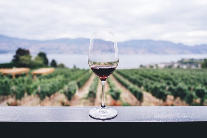 Private Tasting Expedition Along Romania’s Most Famous Wine Route - The First Cellar Stop in Dealu Mare: Vines, Oak, and a Guided Starter Taste