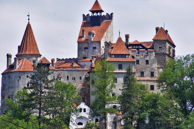 Private Tour: Transylvanian Castles and Brasov's Medieval Old Town - A Bucharest-to-Transylvania day that moves at human speed