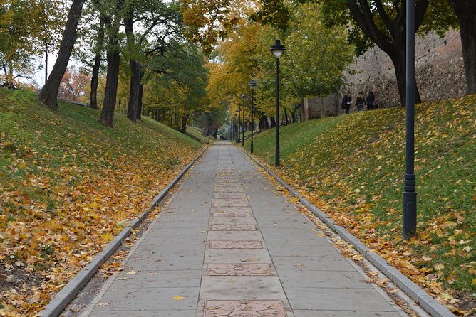 Private Walking Tour of Sibiu - Piata Mare, the First Museum in Romania, and the Bridge of Lies