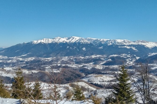 Rambling in Transylvania - A Half-Day That Feels Like the Real Romania