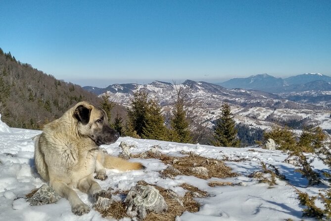 Rambling in Transylvania - Lunch at a Local Guesthouse, What You Can Actually Eat