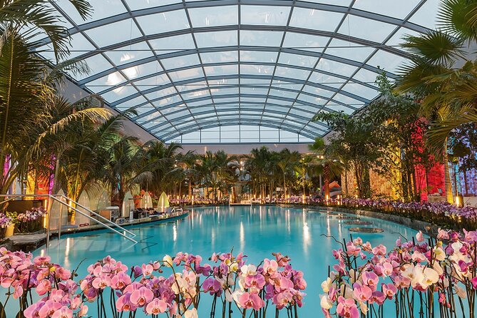 Relax and Fun at Thermal Spa Bucharest (Admission Ticket) - Ticket value: what $32.53 buys you (and what it might not)