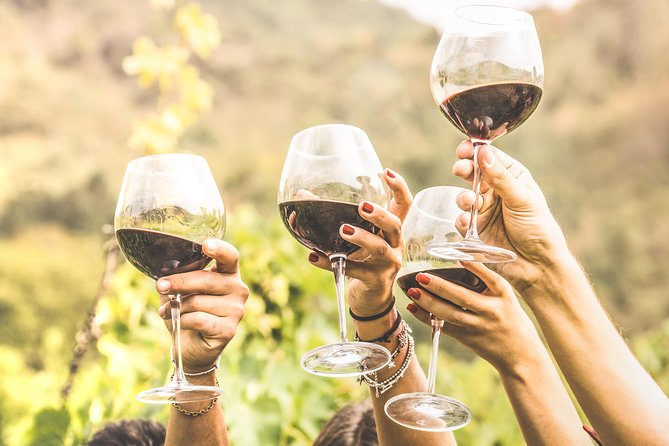 Romanian Wine Tasting - Key highlights at a glance