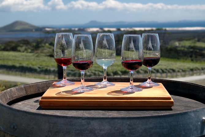 Romanian Wine Tasting - Stop 2 at Budureasca winery: tasting etiquette that actually helps