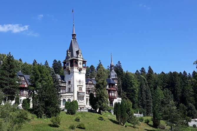 Royal Delights - Sinaia with Peles Palace and Gardens Day Trip from Bucharest - The value of having Adrian Ene in the mix