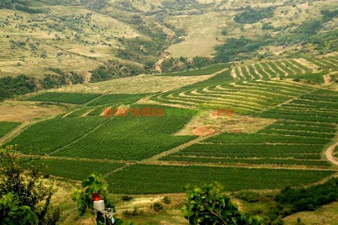 Salt Mine , Lunch at Winery & Dracula Grave - Private Tour - The 9-hour circuit: logistics that actually reduce stress