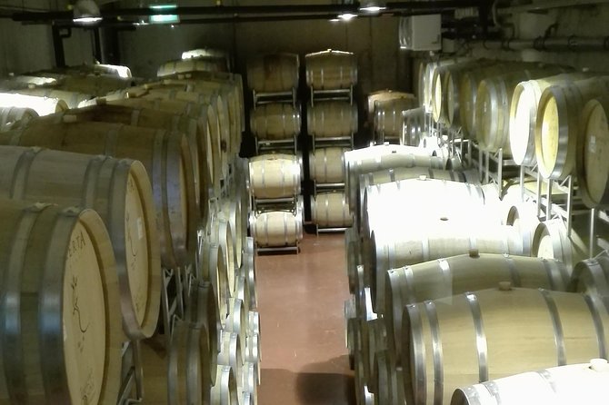Salt Mine & Mud Volcanoes - LacertA Winery Private Tasting: Learning the Process While You Sip