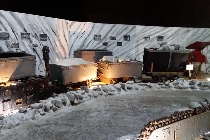 Salt Mine, the Muddy Volcanoes and Wine Tasting Private Day Tour from Bucharest! - How This Private Day Trip Works From Bucharest (Start Time, Pace, Expectations)