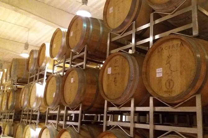Salt Mine, the Muddy Volcanoes and Wine Tasting Private Day Tour from Bucharest! - Lacerta Winery in Fintesti: When Wine Tasting Is the Best Part of the Day