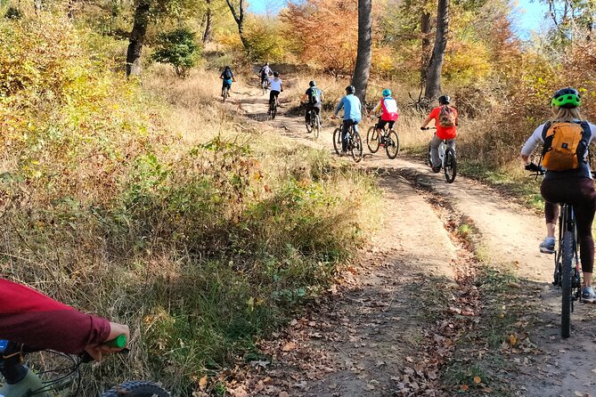 Sambata de Sus: E-Bike Guided Tours - Why This Sâmbăta de Sus E-Bike Tour Works for Real People