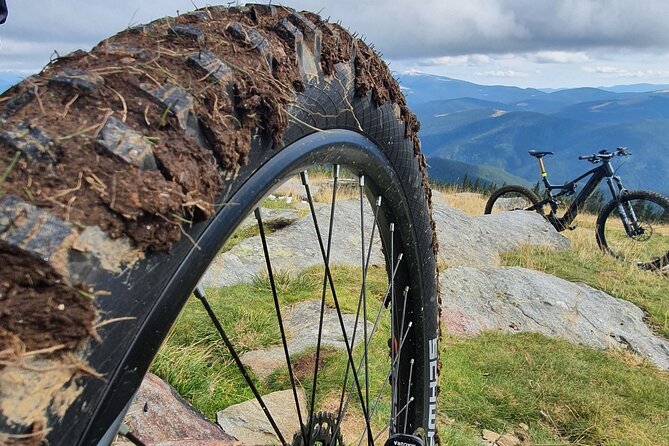 Sambata de Sus: E-Bike Guided Tours - Price and Value: Is $117.75 Worth It?