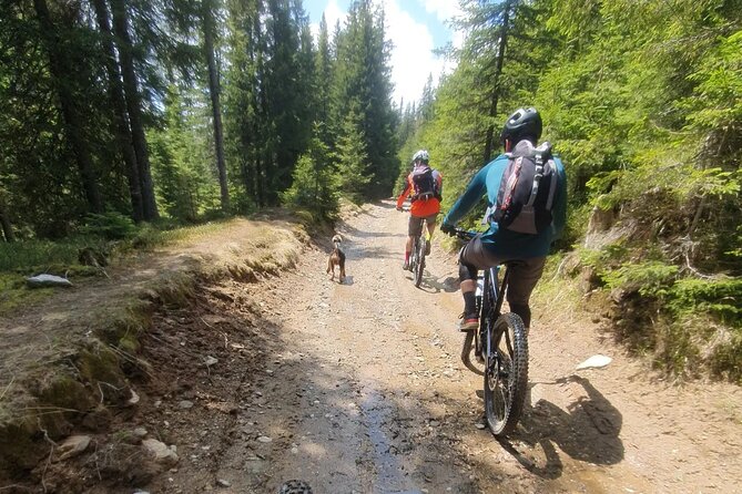 Sambata de Sus: E-Bike Guided Tours - Should You Book Sambata de Sus: E-Bike Guided Tours?