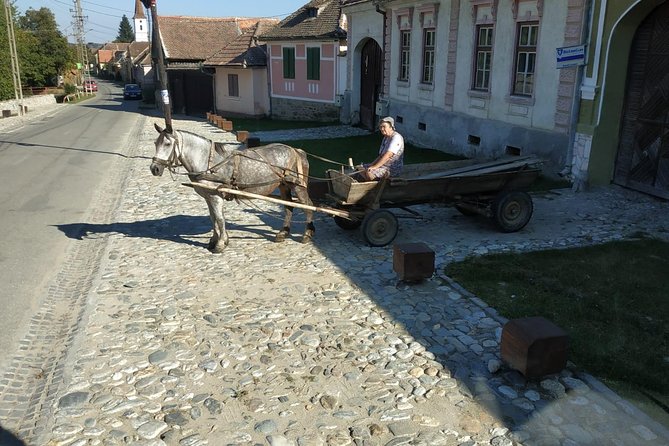 Saxon Heritage in Transylvania: Day Trip from Cluj-Napoca - The guide matters more than you think, and you can get a great one