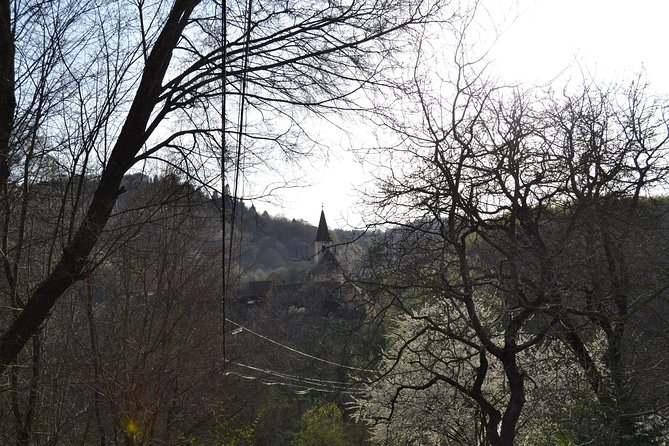 Saxon Heritage in Transylvania: Day Trip from Cluj-Napoca - Transportation, walking, and timing reality check