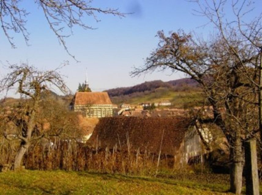 Saxon Secrets: The Malancrav & Biertan Experience - Key points before you go