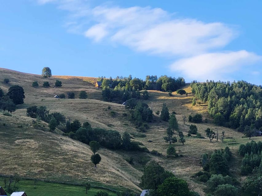 Sibiu: Cindrel Mountains Hike with Traditional Brunch - Key things you’ll love about this hike and brunch