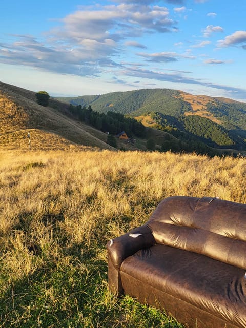 Sibiu: Cindrel Mountains Hike with Traditional Brunch - Arriving at the MGS Cabin: your traditional Transylvanian brunch break