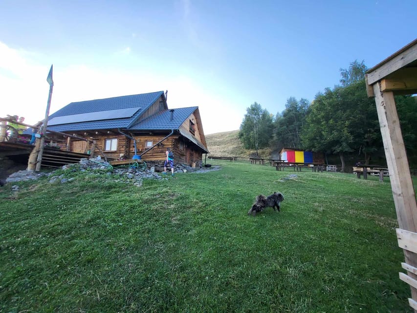 Sibiu: Cindrel Mountains Hike with Traditional Brunch - Wildlife and photo stops: how to get the most from the pauses