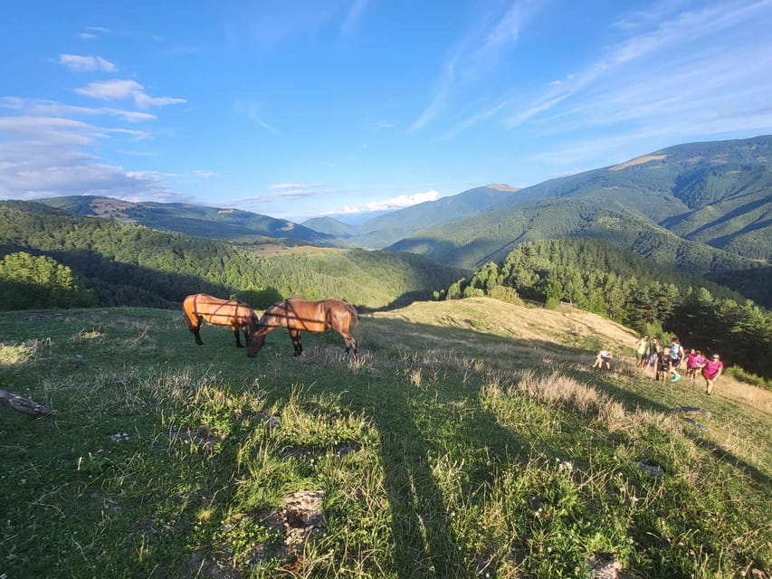 Sibiu: Cindrel Mountains Hike with Traditional Brunch - Who should book this, and who should skip it