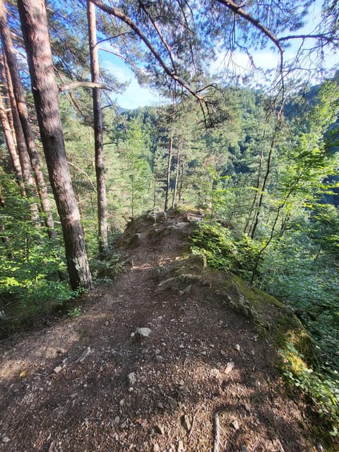 Sibiu: Cindrel Mountains Hike with Traditional Brunch - The 4 to 5 hour Cindrel hike: forests, meadows, and big mountain views