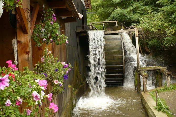 Sibiu Day Trip from Brasov - Entering a private day trip, not a cookie-cutter shuffle